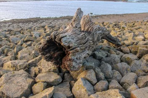 Rocks on the beach Stock Photos