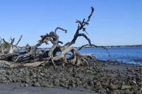 Rocks on the beach Stock Photos