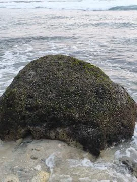 Rocks on the beach Stock Photos