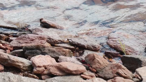 Rocks on beach shoreline 스톡 동영상 228655607