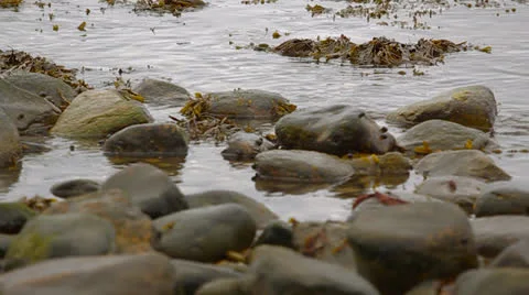 Rocks On The Beach - Slow Motion 库存影片 25952616