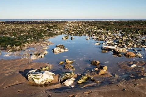 Rocks on the beach with tidal pool in Kent, UK Stock Photos