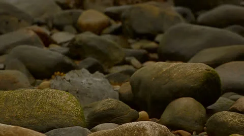 Rocks On The Beach - Tilt Up Slow Motion 库存影片 25952603