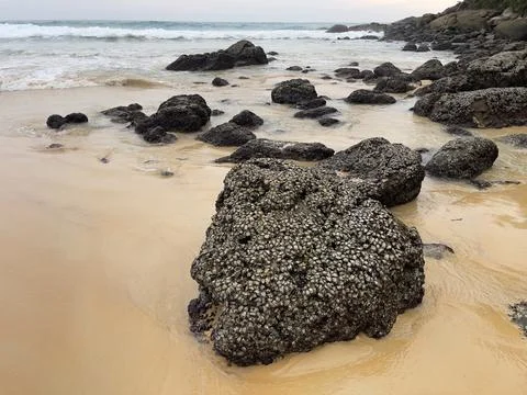 Rocks on the beach with waves in the background at low tide Stock Photos