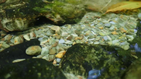 Rocks beneath surface of water 動画素材 229081200