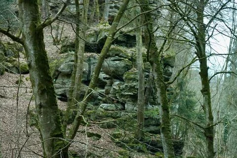 Rocks in Berdorf Stock Photos