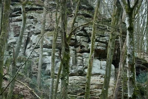 Rocks in Berdorf Stock Photos