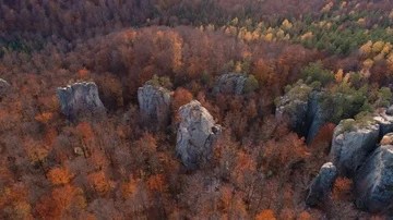 The rocks between the trees in the autumn mountain Stock Footage 85786338