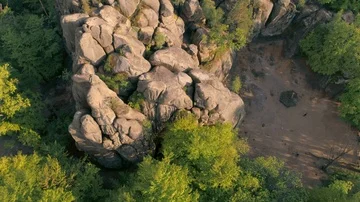 The rocks between the trees in the mountain Stock Footage 85785933
