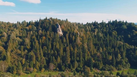 The rocks between the trees in the mountains Stock Footage 85786485