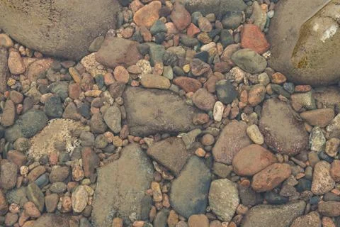 Rocks at the bottom of a clear river. Stock Photos