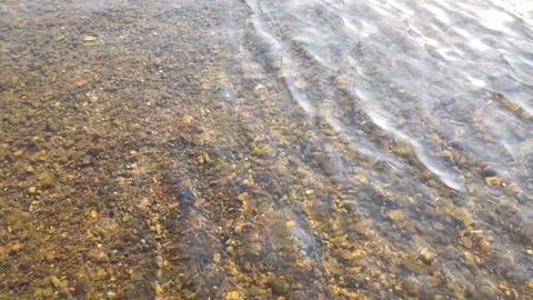 Rocks at the bottom of the river. clear sea water Stock Footage 221564651