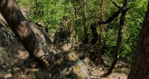 Rocks in the caucasus forest Stock-Footage 156630001