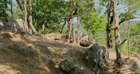 Rocks in the caucasus forest Stock Footage 156630013