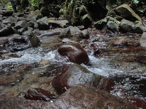 The rocks in the clear river flow Stock Photos