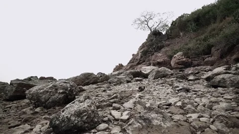 Rocks on the coast when low tide water with alone dried tree on rock hill Stock Footage 235583636