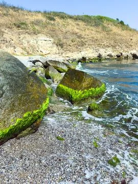 Rocks covered with algae along the shoreline at a quiet beach during a sunn.. Stock Photos