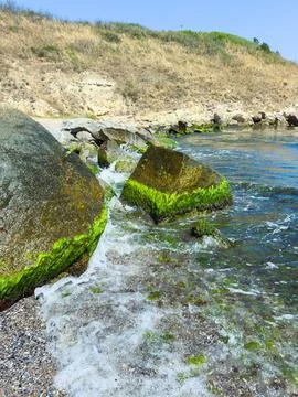 Rocks covered in green algae by the water during a sunny day at the beach Stock Photos