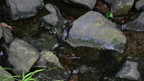 Rocks in a Creek Stock Footage 73424443