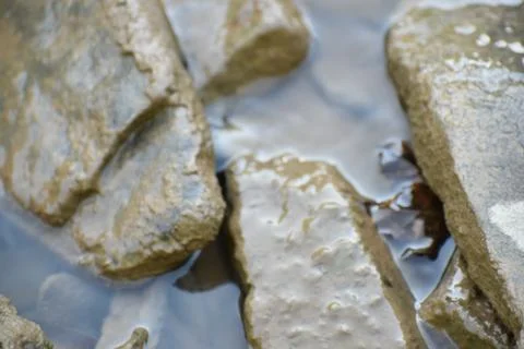Rocks in the creek Stock Photos