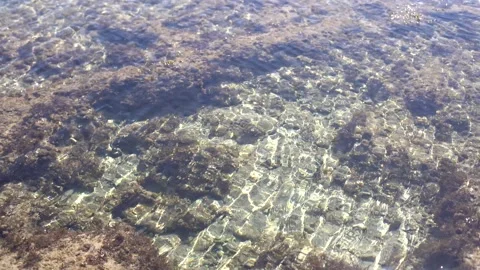 Rocks of dead coral swept by waves at white sand beach Video stock 169936593