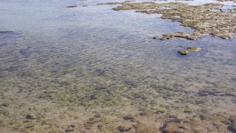Rocks of dead coral swept by waves at white sand beach Video stock 170173676