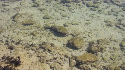 Rocks of dead coral swept by waves at white sand beach Video stock 170508567