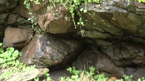 Rocks dripping mountain runoff 库存影片 169003161