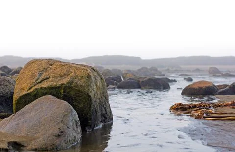Rocks during low tide Foto stock