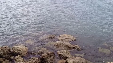 Rocks on the edge of the beach Stock Footage 273071018