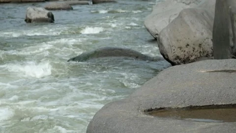 Rocks on the edge of a mountain river Stock Footage 320955048