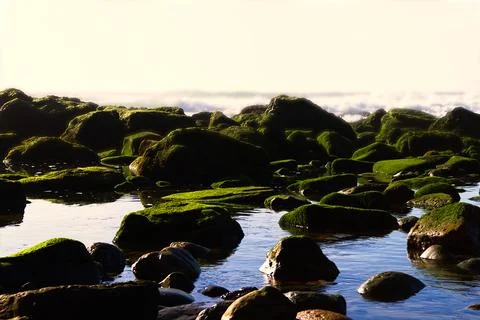 Rocks at the edge of the ocean Stock-Fotos