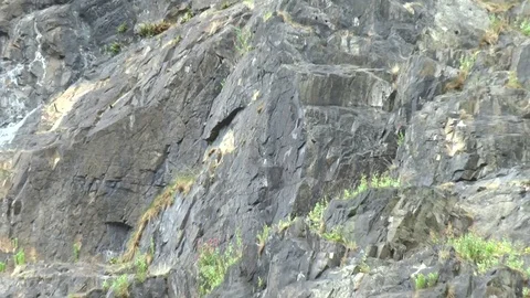 Rocks to Edinburgh Castle 스톡 동영상 79276123