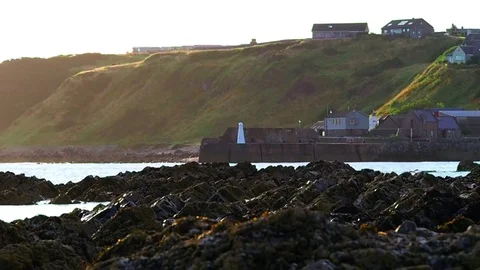 Rocks Stock Footage 82724256