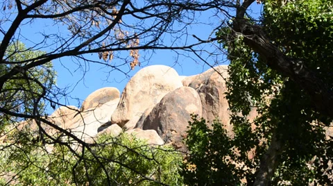 Rocks in forest Stock Footage 32220502