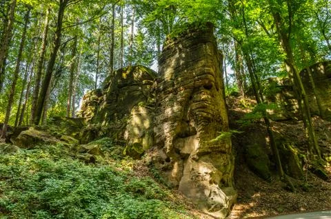 Rocks in the forest Stock-Fotos