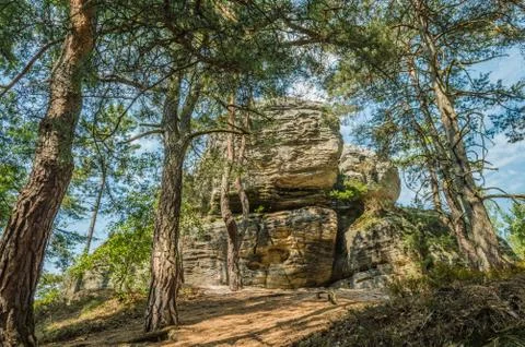 Rocks in the forest Stock Photos