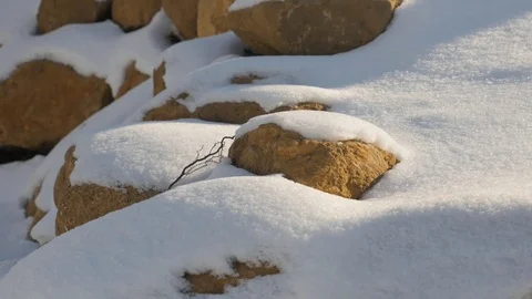 Rocks in the Forest Under Fresh Snow 库存影片 85060123