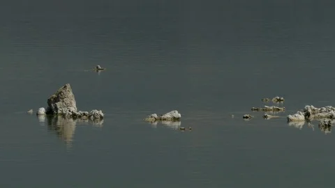 Rocks formation in a middle of a lake Stock-Footage 73890039
