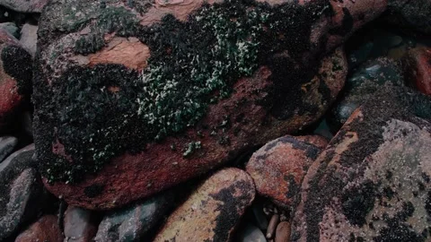 Rocks in front of the ocean Stock Footage 138964829