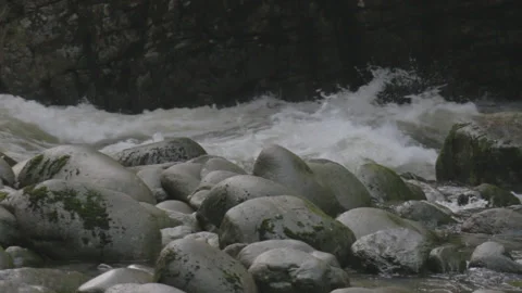 Rocks in front of Rushing Water in Forest River 스톡 동영상 219531317