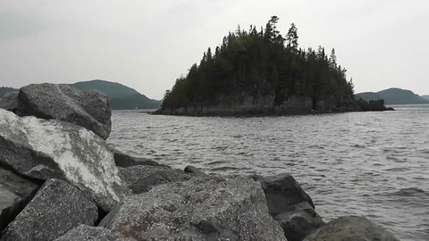 Rocks in the front, water with small waves and trees moving by the wind Video stock 81786844