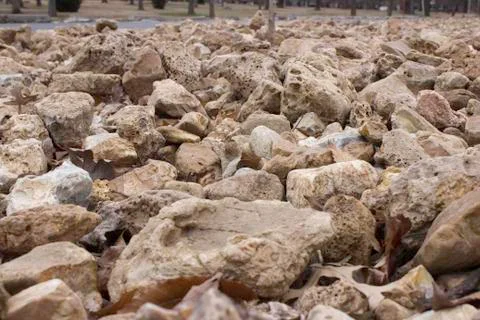Rocks in Garden Bed Stock Photos