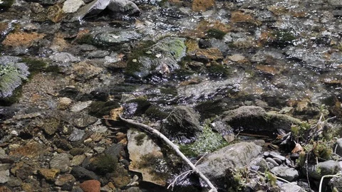 Rocks in a Gentle Stream Lapping Slow Motion Water Vídeo Stock 120254771