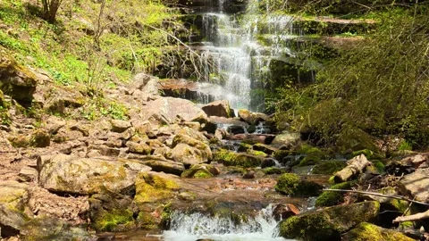 Rocks glisten with moss and fallen leaves. Tupavica Waterfall, Serbia Stock Footage 335533655