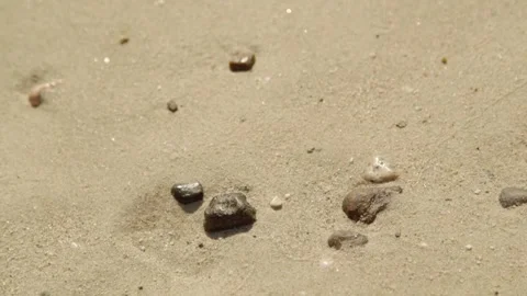 Rocks on golden beach Stock Footage 295918963