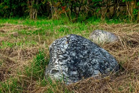 Rocks in the grass Stock Photos