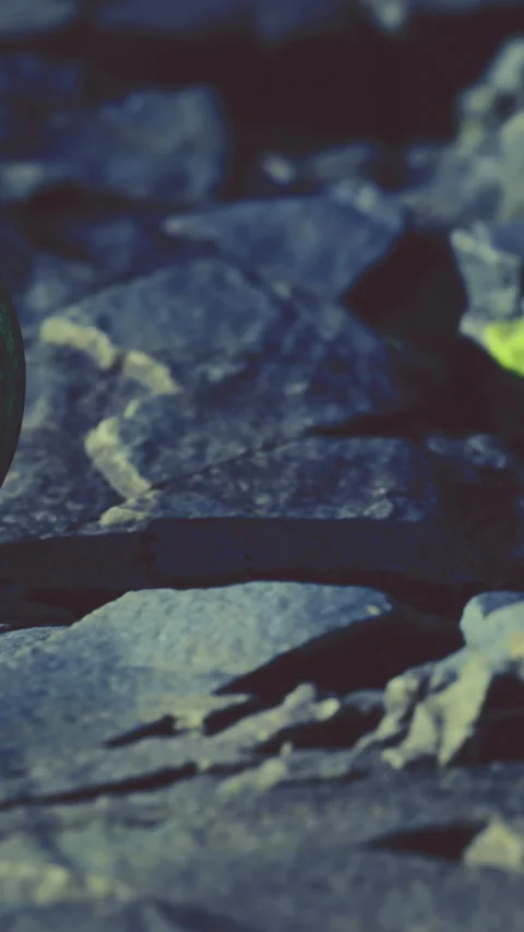 Rocks on the ground in a dark setting with some light shining through Stock Footage 334183328