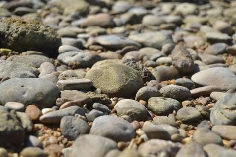 Rocks in the ground Stockfoto's