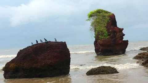 Rocks like human face Stock Footage 159045475